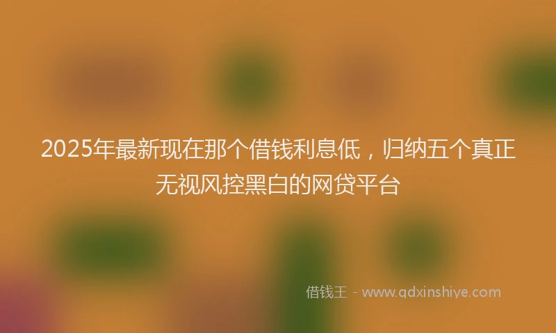 2025年最新现在那个借钱利息低，归纳五个真正无视风控黑白的网贷平台