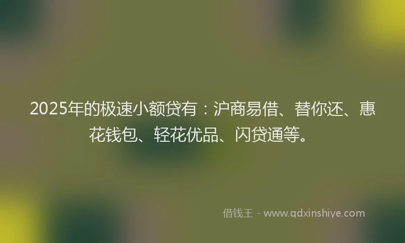 2025年的极速小额贷有：沪商易借、替你还、惠花钱包、轻花优品、闪贷通等。