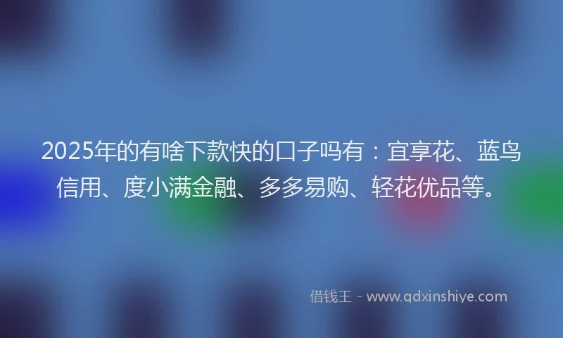 2025年的有啥下款快的口子吗有：宜享花、蓝鸟信用、度小满金融、多多易购、轻花优品等。