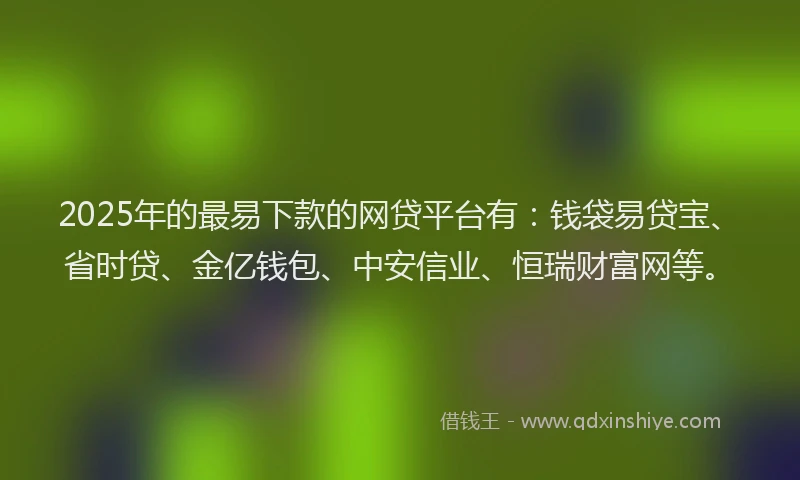 2025年的最易下款的网贷平台有：钱袋易贷宝、省时贷、金亿钱包、中安信业、恒瑞财富网等。