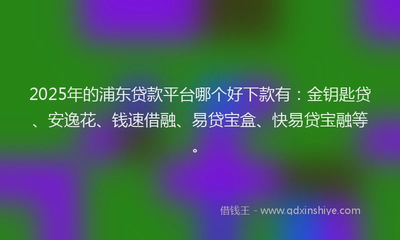 2025年的浦东贷款平台哪个好下款有：金钥匙贷、安逸花、钱速借融、易贷宝盒、快易贷宝融等。