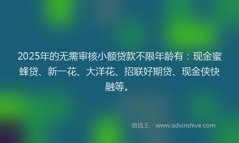 2025年的无需审核小额贷款不限年龄有：现金蜜蜂贷、新一花、大洋花、招联好期贷、现金侠快融等。