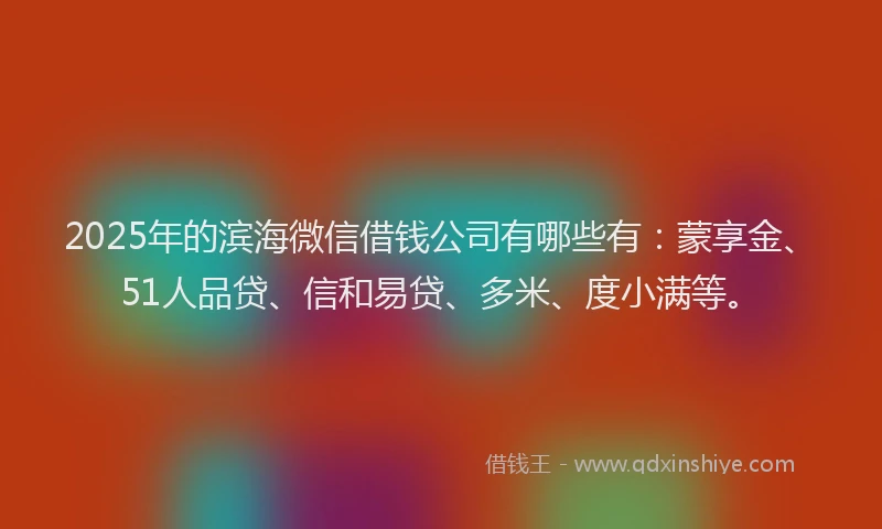 2025年的滨海微信借钱公司有哪些有：蒙享金、51人品贷、信和易贷、多米、度小满等。