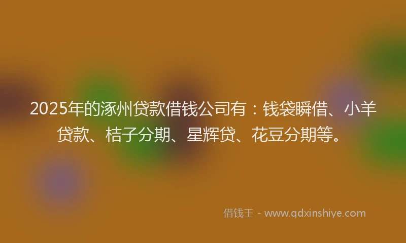 2025年的涿州贷款借钱公司有：钱袋瞬借、小羊贷款、桔子分期、星辉贷、花豆分期等。