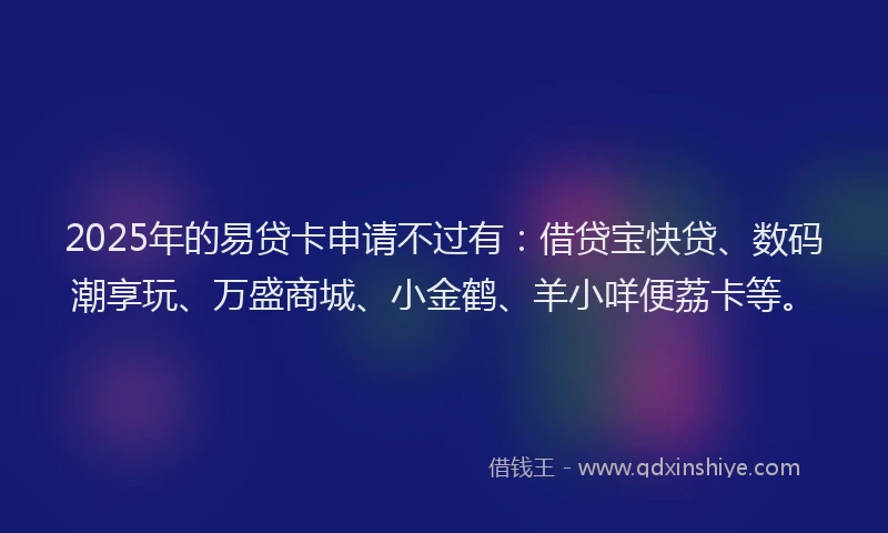 2025年的易贷卡申请不过有：借贷宝快贷、数码潮享玩、万盛商城、小金鹤、羊小咩便荔卡等。