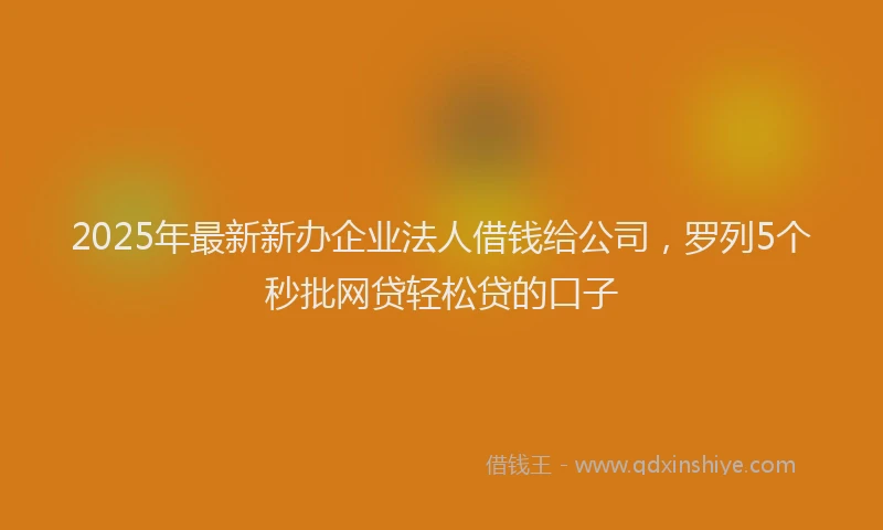 2025年最新新办企业法人借钱给公司，罗列5个秒批网贷轻松贷的口子