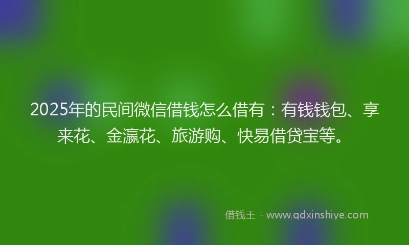 2025年的民间微信借钱怎么借有：有钱钱包、享来花、金瀛花、旅游购、快易借贷宝等。