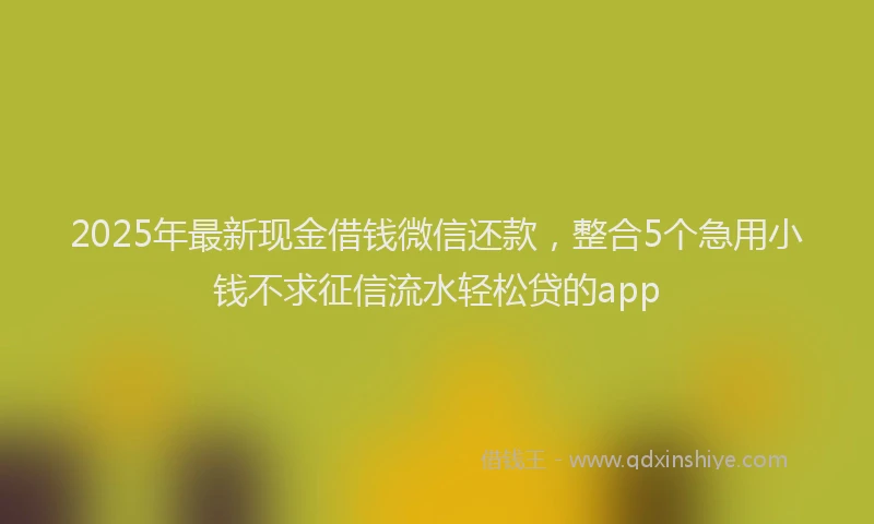 2025年最新现金借钱微信还款，整合5个急用小钱不求征信流水轻松贷的app