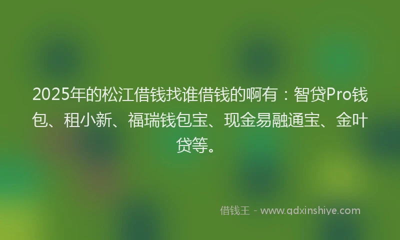 2025年的松江借钱找谁借钱的啊有：智贷Pro钱包、租小新、福瑞钱包宝、现金易融通宝、金叶贷等。