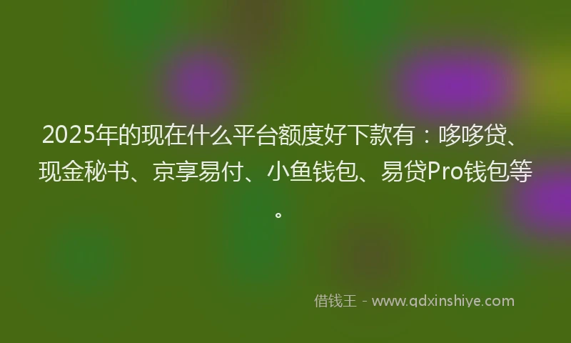 2025年的现在什么平台额度好下款有：哆哆贷、现金秘书、京享易付、小鱼钱包、易贷Pro钱包等。
