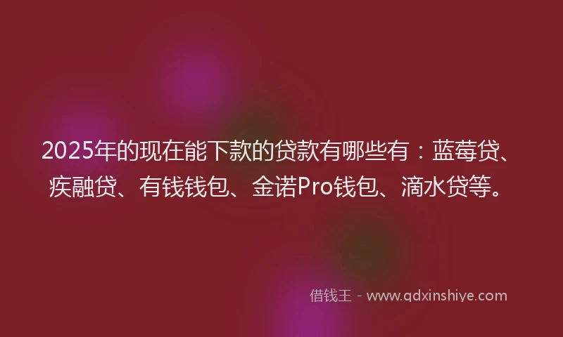 2025年的现在能下款的贷款有哪些有：蓝莓贷、疾融贷、有钱钱包、金诺Pro钱包、滴水贷等。