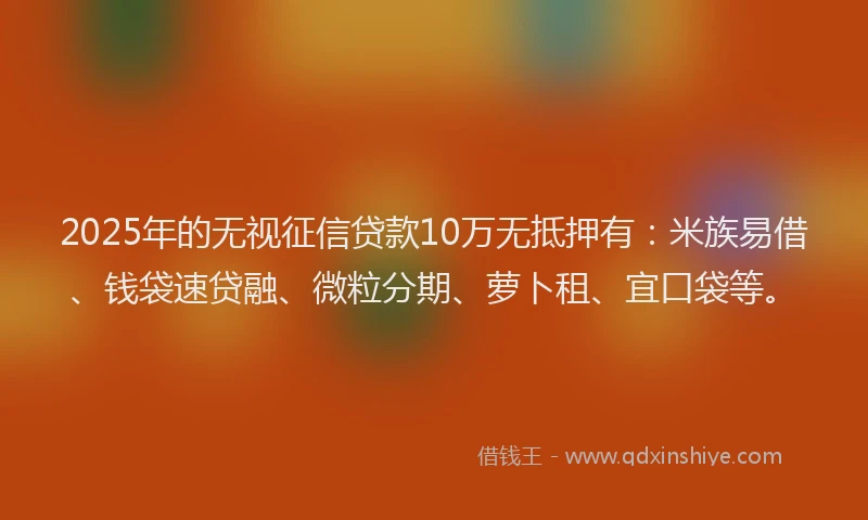 2025年的无视征信贷款10万无抵押有：米族易借、钱袋速贷融、微粒分期、萝卜租、宜口袋等。
