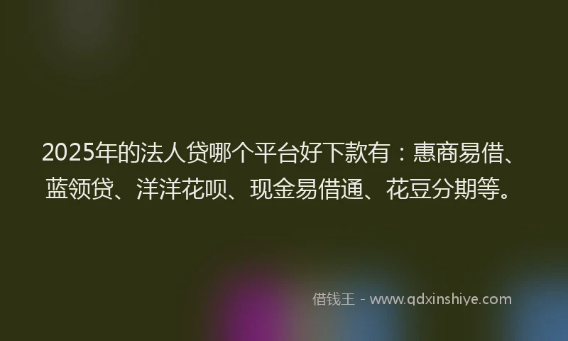2025年的法人贷哪个平台好下款有:惠商易借、蓝领贷、洋洋花呗、现金易借通、花豆分期等。