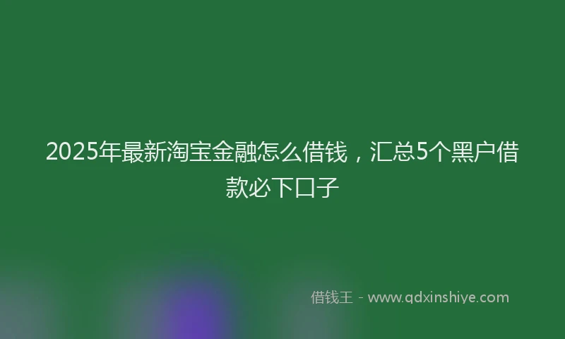 2025年最新淘宝金融怎么借钱，汇总5个黑户借款必下口子