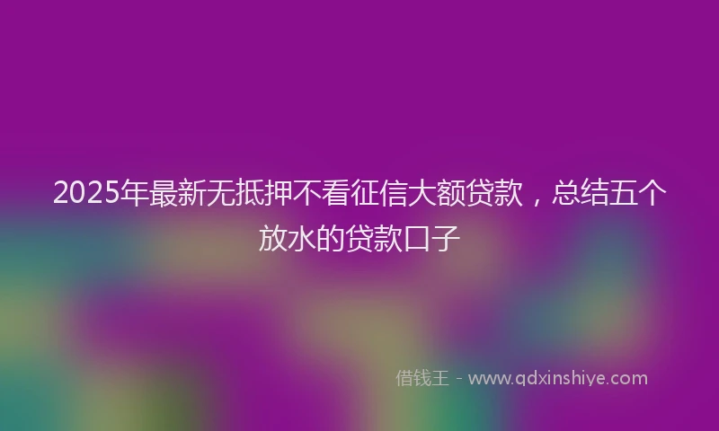 2025年最新无抵押不看征信大额贷款，总结五个放水的贷款口子