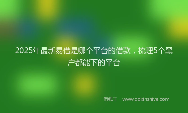 2025年最新易借是哪个平台的借款，梳理5个黑户都能下的平台