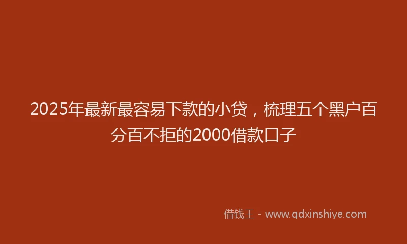 2025年最新最容易下款的小贷，梳理五个黑户百分百不拒的2000借款口子