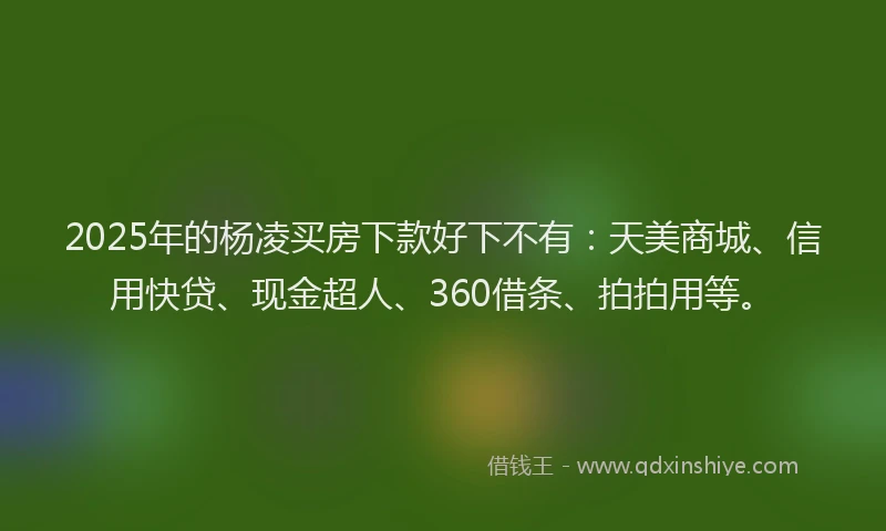 2025年的杨凌买房下款好下不有：天美商城、信用快贷、现金超人、360借条、拍拍用等。