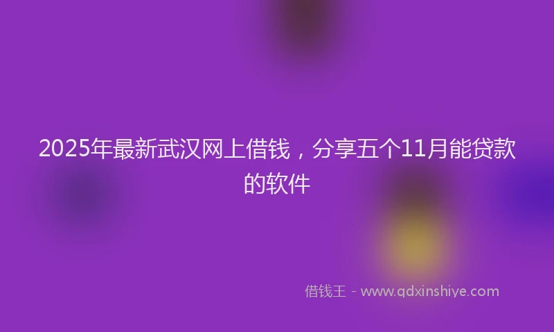2025年最新武汉网上借钱，分享五个11月能贷款的软件