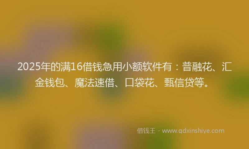 2025年的满16借钱急用小额软件有：普融花、汇金钱包、魔法速借、口袋花、甄信贷等。