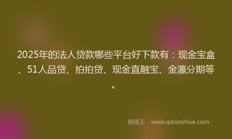 2025年的法人贷款哪些平台好下款有：现金宝盒、51人品贷、拍拍贷、现金直融宝、金瀛分期等。
