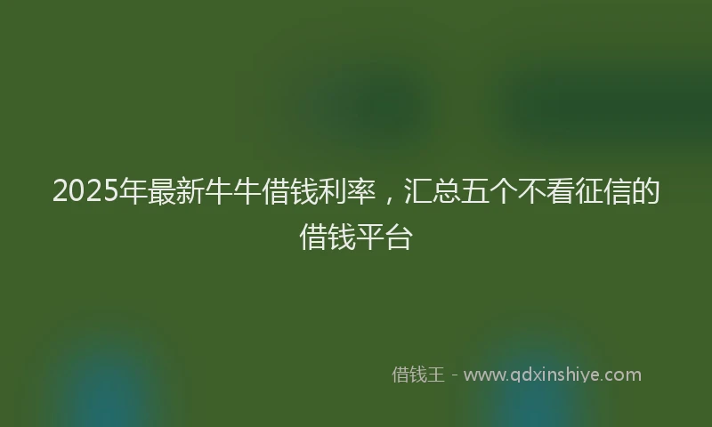2025年最新牛牛借钱利率，汇总五个不看征信的借钱平台