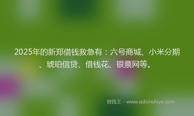 2025年的新郑借钱救急有：六号商城、小米分期、琥珀信贷、借钱花、银票网等。