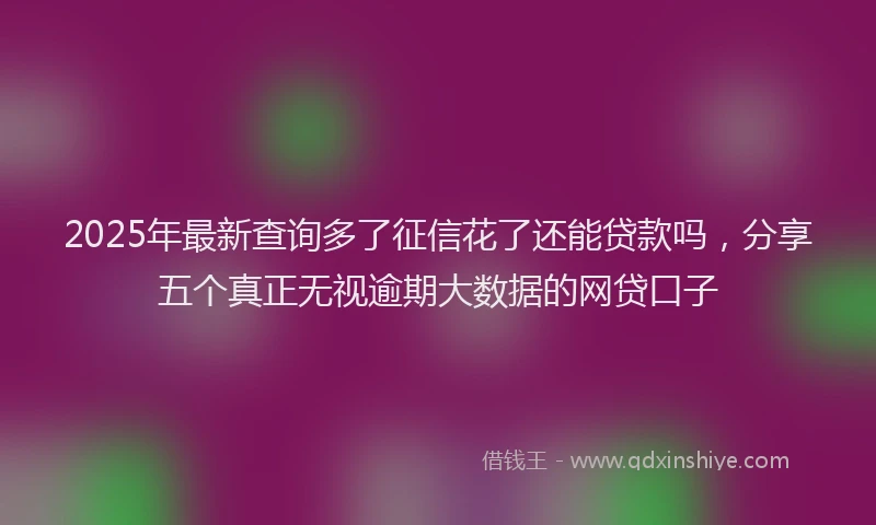 2025年最新查询多了征信花了还能贷款吗，分享五个真正无视逾期大数据的网贷口子