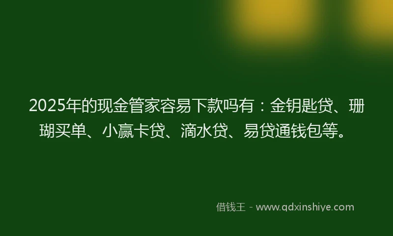 2025年的现金管家容易下款吗有：金钥匙贷、珊瑚买单、小赢卡贷、滴水贷、易贷通钱包等。