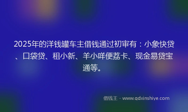 2025年的洋钱罐车主借钱通过初审有：小象快贷、口袋贷、租小新、羊小咩便荔卡、现金易贷宝通等。