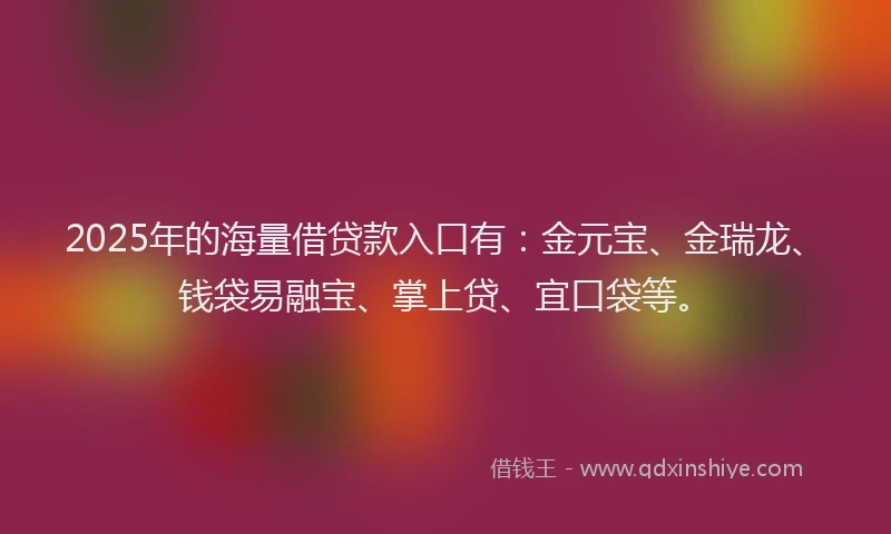 2025年的海量借贷款入口有:金元宝、金瑞龙、钱袋易融宝、掌上贷、宜口袋等。