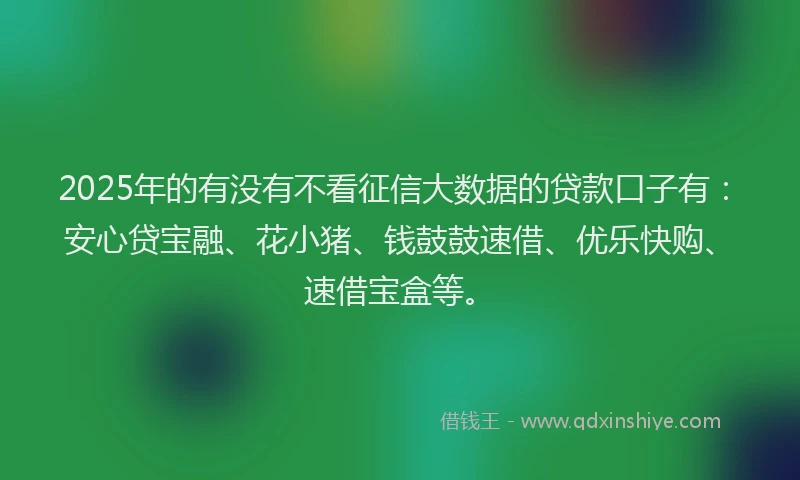 2025年的有没有不看征信大数据的贷款口子有：安心贷宝融、花小猪、钱鼓鼓速借、优乐快购、速借宝盒等。