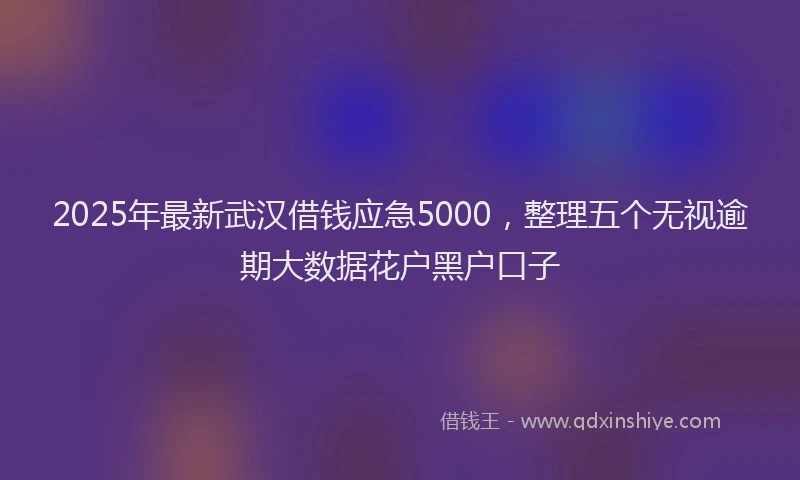 2025年最新武汉借钱应急5000，整理五个无视逾期大数据花户黑户口子