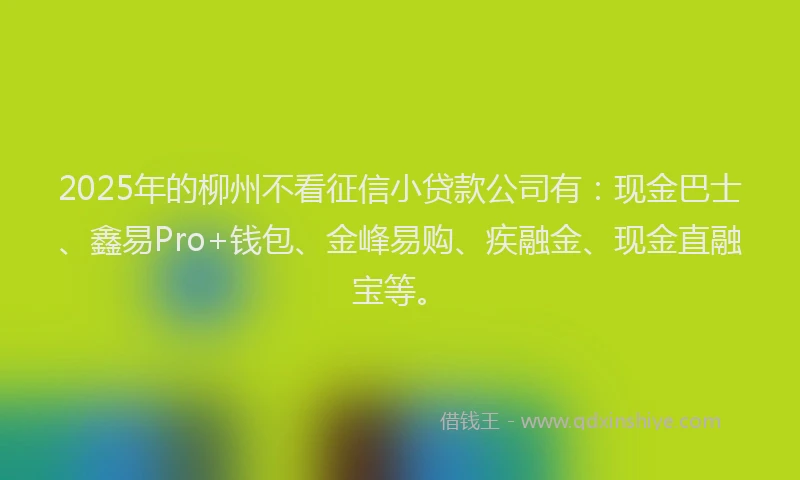 2025年的柳州不看征信小贷款公司有：现金巴士、鑫易Pro+钱包、金峰易购、疾融金、现金直融宝等。