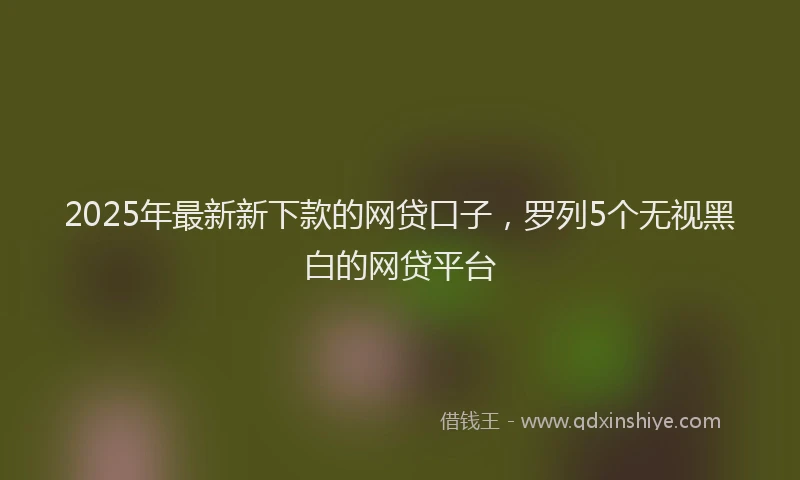 2025年最新新下款的网贷口子，罗列5个无视黑白的网贷平台