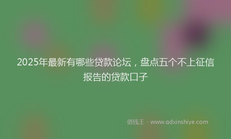 2025年最新有哪些贷款论坛，盘点五个不上征信报告的贷款口子