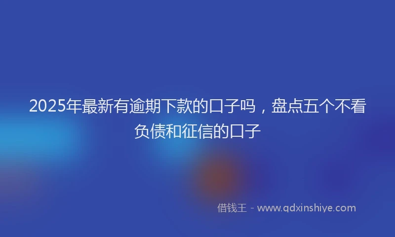 2025年最新有逾期下款的口子吗，盘点五个不看负债和征信的口子