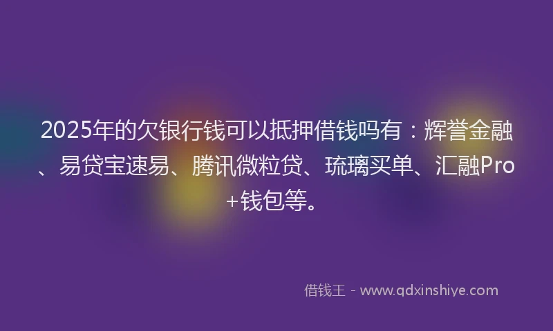 2025年的欠银行钱可以抵押借钱吗有：辉誉金融、易贷宝速易、腾讯微粒贷、琉璃买单、汇融Pro+钱包等。