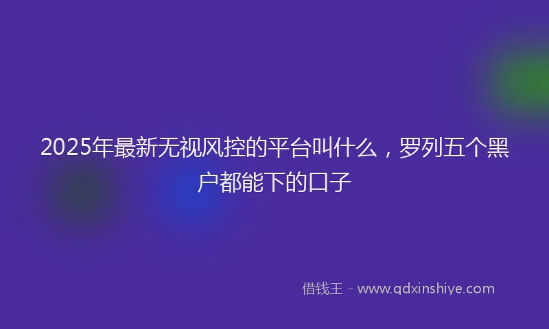 2025年最新无视风控的平台叫什么，罗列五个黑户都能下的口子