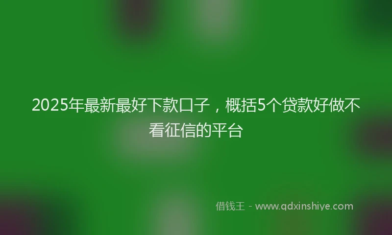 2025年最新最好下款口子，概括5个贷款好做不看征信的平台