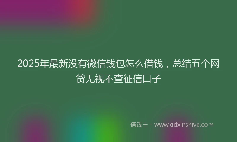 2025年最新没有微信钱包怎么借钱，总结五个网贷无视不查征信口子