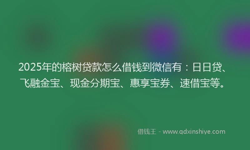 2025年的榕树贷款怎么借钱到微信有：日日贷、飞融金宝、现金分期宝、惠享宝券、速借宝等。