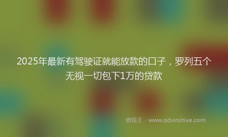2025年最新有驾驶证就能放款的口子，罗列五个无视一切包下1万的贷款