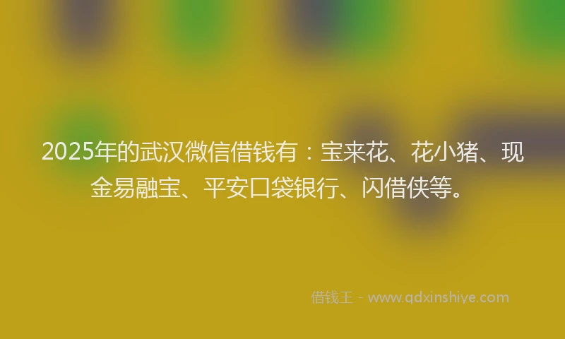 2025年的武汉微信借钱有：宝来花、花小猪、现金易融宝、平安口袋银行、闪借侠等。