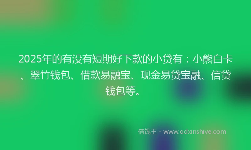 2025年的有没有短期好下款的小贷有：小熊白卡、翠竹钱包、借款易融宝、现金易贷宝融、信贷钱包等。