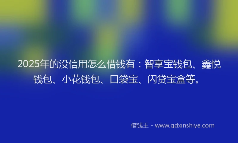 2025年的没信用怎么借钱有：智享宝钱包、鑫悦钱包、小花钱包、口袋宝、闪贷宝盒等。