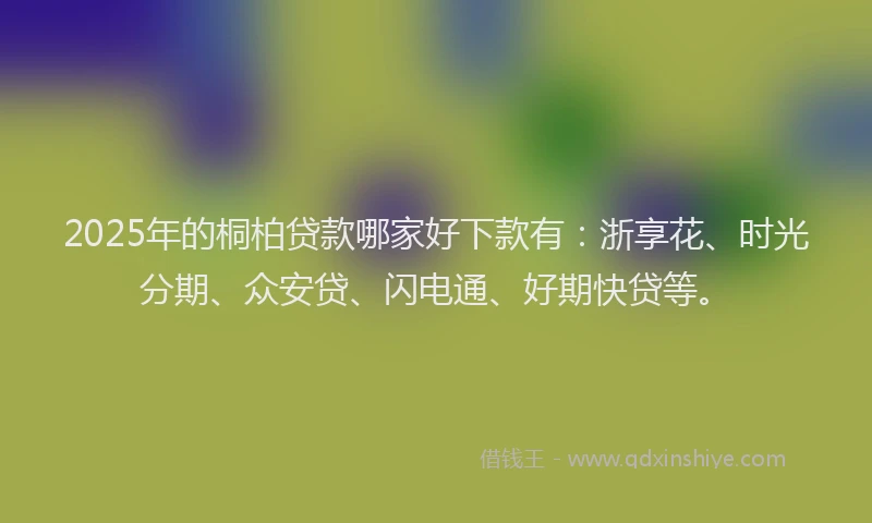 2025年的桐柏贷款哪家好下款有：浙享花、时光分期、众安贷、闪电通、好期快贷等。