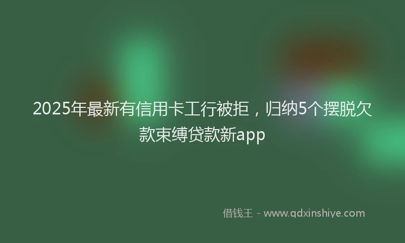 2025年最新有信用卡工行被拒，归纳5个摆脱欠款束缚贷款新app
