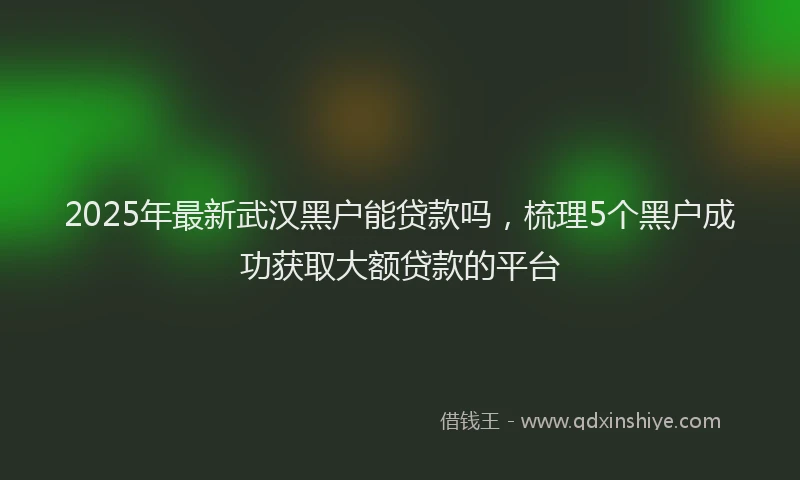 2025年最新武汉黑户能贷款吗，梳理5个黑户成功获取大额贷款的平台