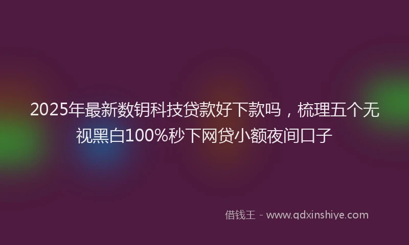2025年最新数钥科技贷款好下款吗，梳理五个无视黑白100%秒下网贷小额夜间口子